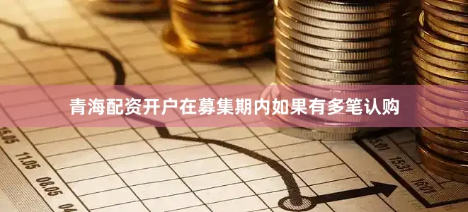 青海配资开户在募集期内如果有多笔认购