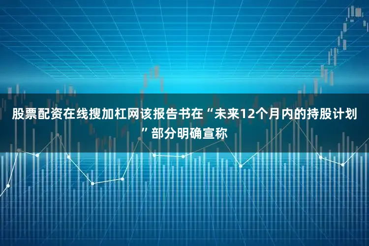 股票配资在线搜加杠网该报告书在“未来12个月内的持股计划”部分明确宣称