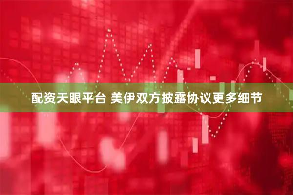 配资天眼平台 美伊双方披露协议更多细节